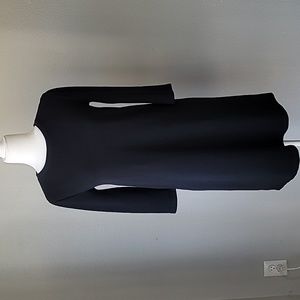 Zara Black Long Sleeve Shift Dress